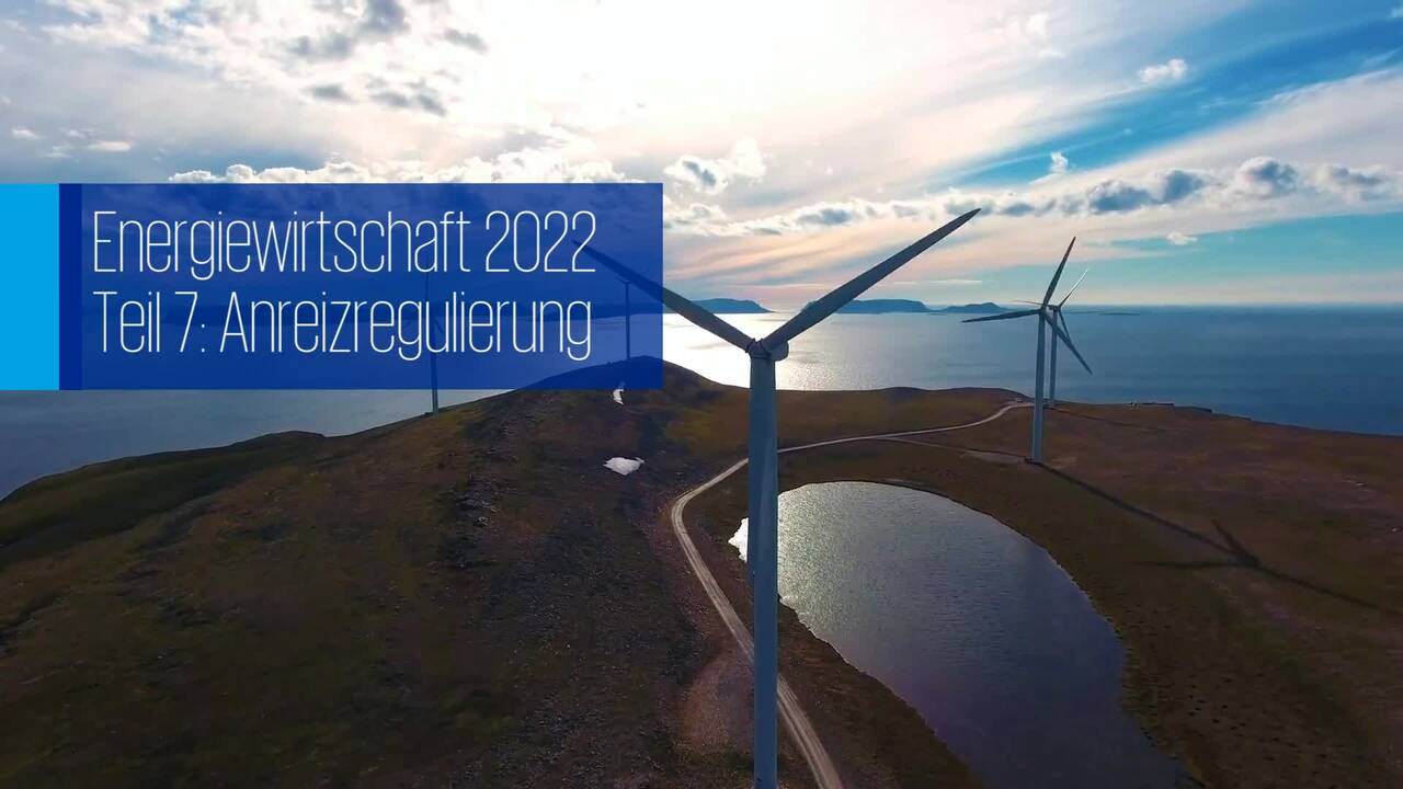 Vorschaubild für Energiewirtschaft 2022, Folge 7, Anreizregulierung