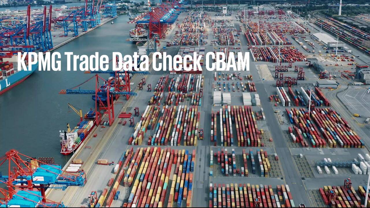 Vorschaubild für Demovideo Trade Data Check
