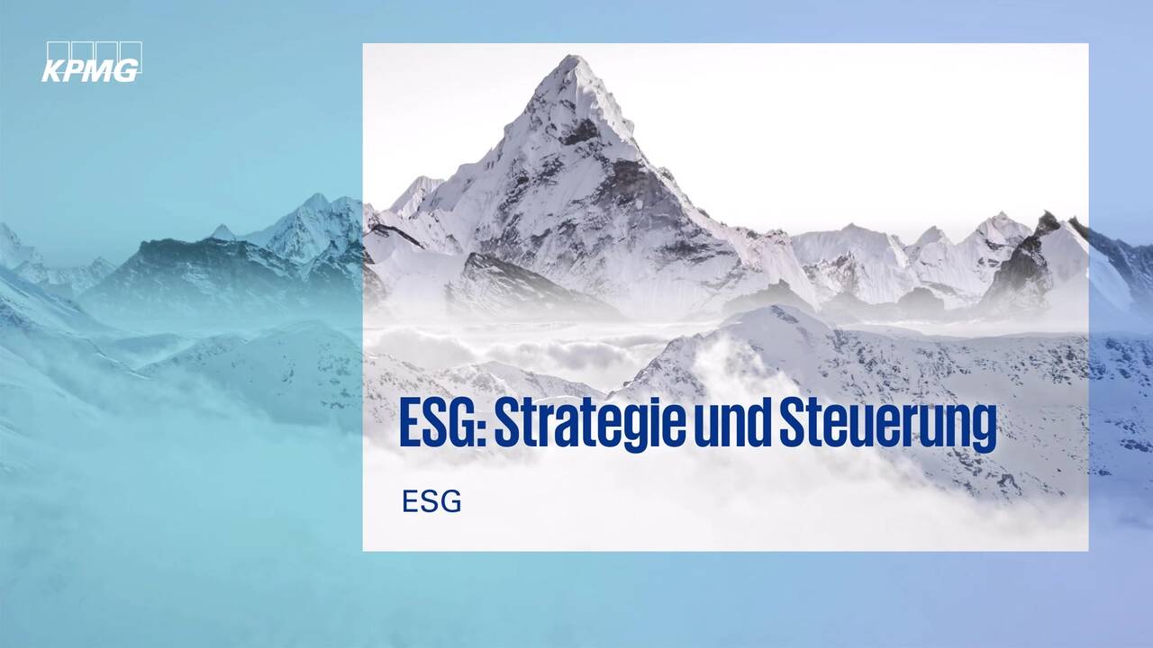 Vorschaubild für ESG: Strategie und Steuerung